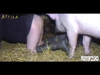 Animal Sex Porn Vid