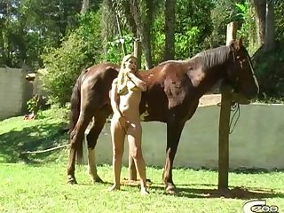 Which Animal Have More Sex