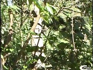 Flick Animal Crossing Sex