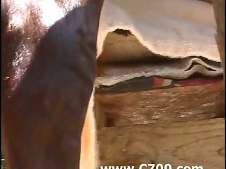 Hentai Animal Sex Gif