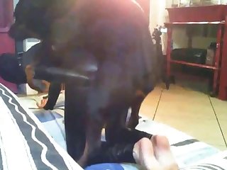 Relato Zoofilia Menor