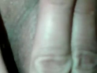 Zoofilia En Animales