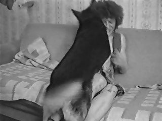 Animal Zoofilia Porn