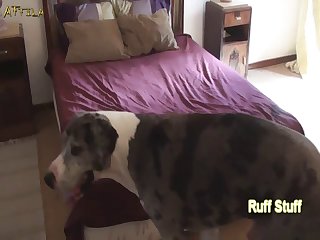 Xxx Porn Nasty
