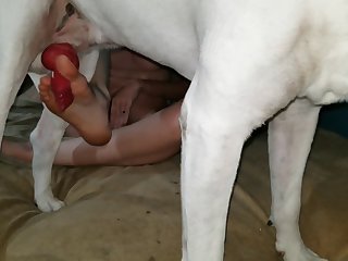 Xxx Sexy Porn Big Ass