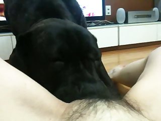 Calicouple1 Xxx Porn