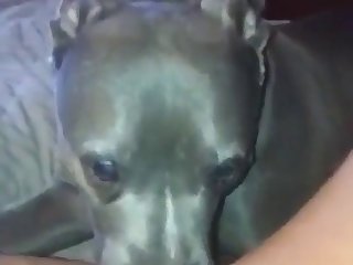 Top Shemale Stars Xxx Porn Xxx