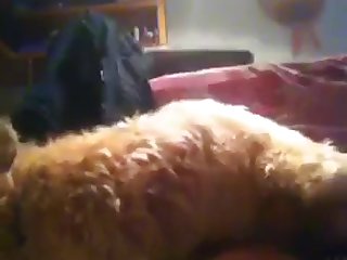 Emily Feld Swimsuit Xxx Porn