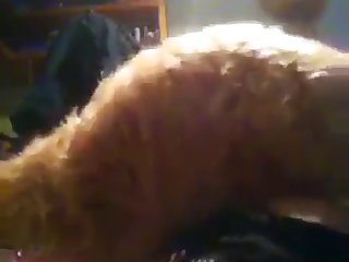 Emily Feld Swimsuit Xxx Porn