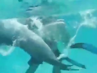 Xxx College Porn Videos