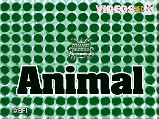 Xnxx Xxx Sex Hd Video