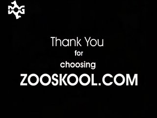 Zoo Xxx Free
