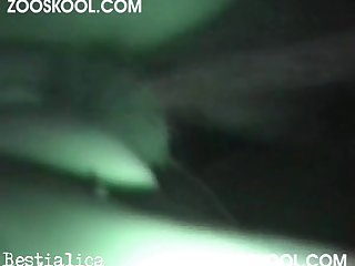 Animal Porn Video Xxx