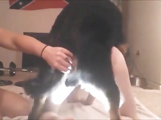 Safe Animal Sex Sites