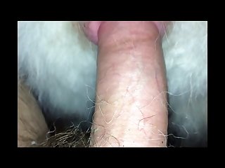 Gay Animal Sex Men