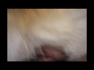 Gay Animal Sex Men