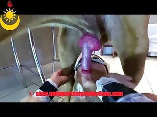Amateur Animal Sex Video