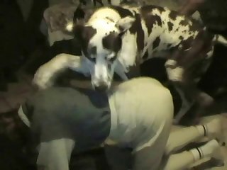 Animal Sex Hot Girl