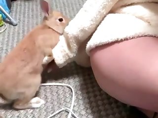 Wife Has Animal Sex