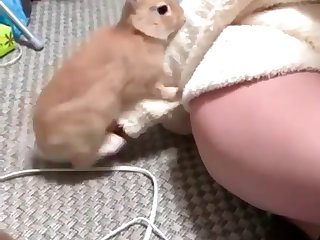Wife Has Animal Sex