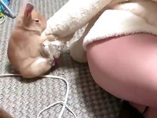 Wife Has Animal Sex