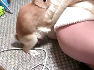 Wife Has Animal Sex