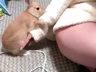 Wife Has Animal Sex