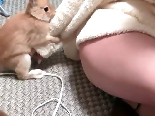 Wife Has Animal Sex