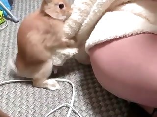Wife Has Animal Sex