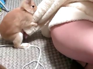 Wife Has Animal Sex