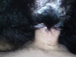 Animal Sex Asian