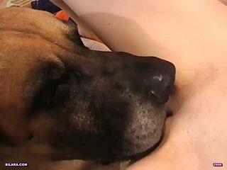 Teen Girl Fucks Dog Porn