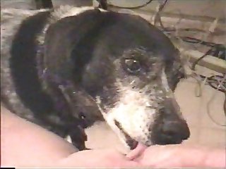 Harry Potter Dog Porn