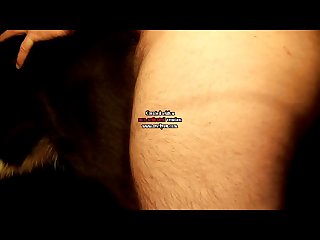 Homosexuelle Zoophilie Mit Pferden