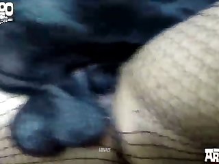 Masturbate To Dog Porn