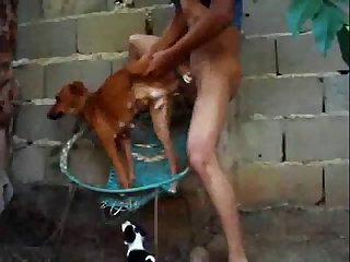 Free Dog Porn Videos