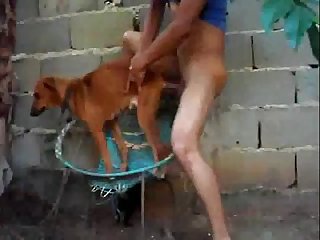Free Dog Porn Videos