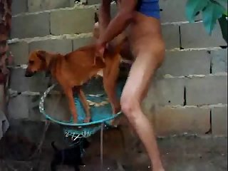 Free Dog Porn Videos