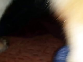 Animal Sex Story Tamil