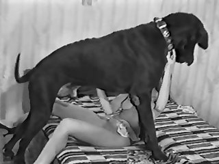 Animal Sex Girl Hot