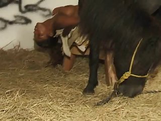 Hindi Animal Sex
