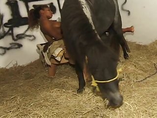 Hindi Animal Sex