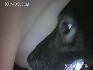 Hafwin Dog Xxx