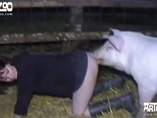 Art Of Zoo Anal Dog