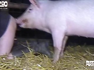 Art Of Zoo Anal Dog