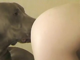 Laure Zecchi Dog Xxx
