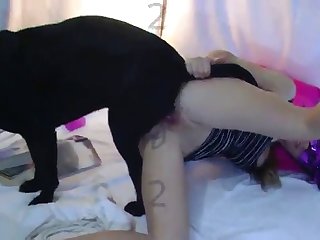 Teen Girl Fuck Dog Xxx