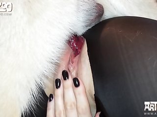 Anime Dog Xxx Gif