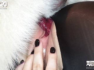 Anime Dog Xxx Gif