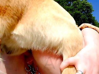 Footjob For Dog Xxx